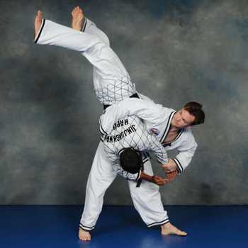 Hapkido throwing techniques