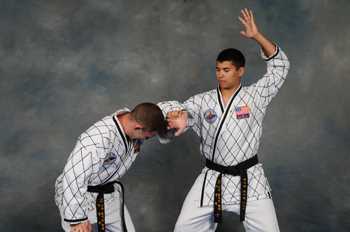 hapkido training in Wentzville, MO