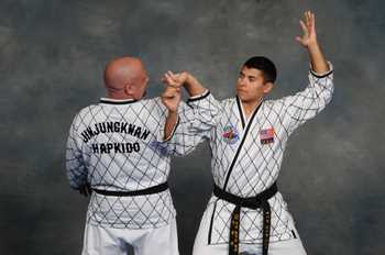 martial arts wentzville